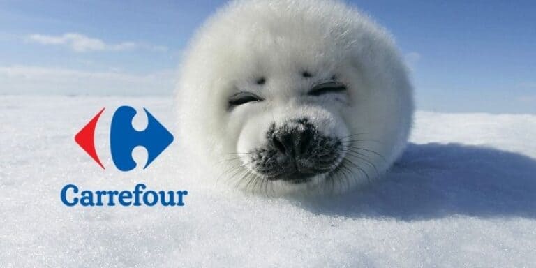 carrefour