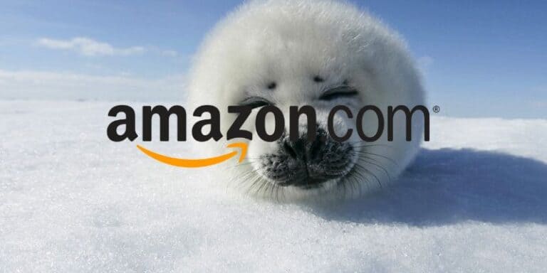 amazon