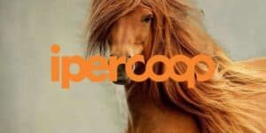 coop