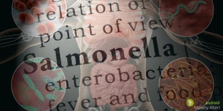 Salmonella: nuovi prodotti contaminati, ecco da dove arriva stavolta il batterio