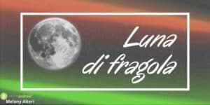 Superluna: manca pochissimo al grande evento, ecco come vederlo