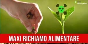 Maxi richiamo alimentare: questa non ci voleva, rimossi ben 14 lotti!