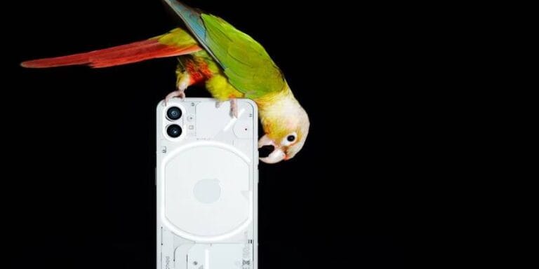 nothing-phone-1-benchmark-smartphone-potrebbero-deludere