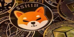 shiba inu truffa