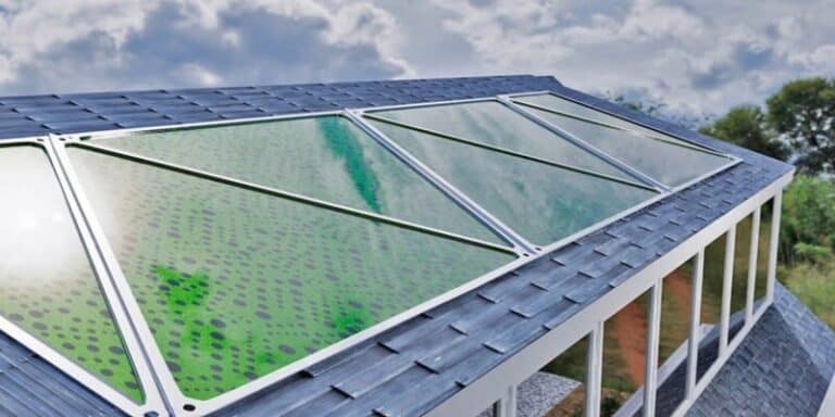 Biopannelli di alghe che aspirano la CO2