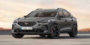 Cupra Formentor VZ5 Taiga Grey Edition