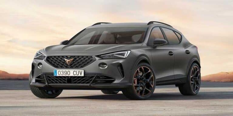 Cupra Formentor VZ5 Taiga Grey Edition