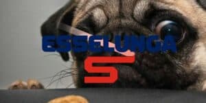 esselunga