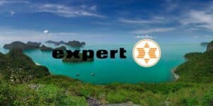 expert