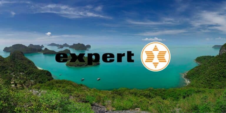 expert