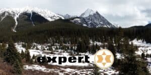 expert