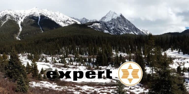 expert