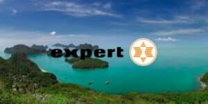 expert