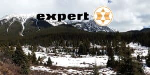 expert
