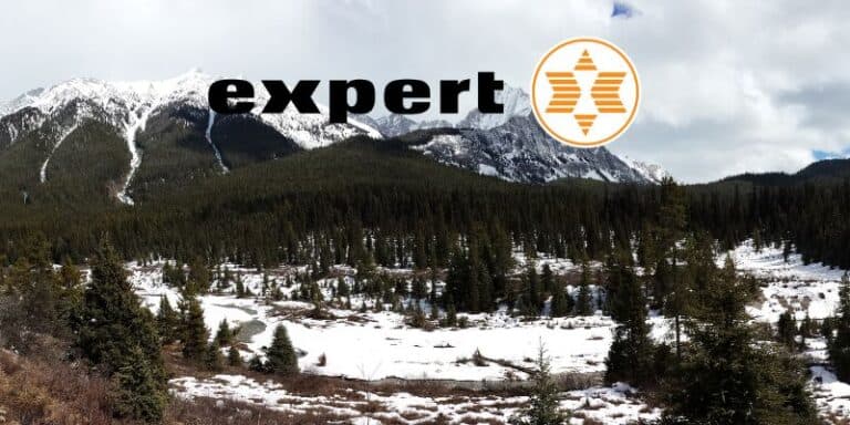 expert