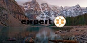 expert