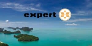 expert