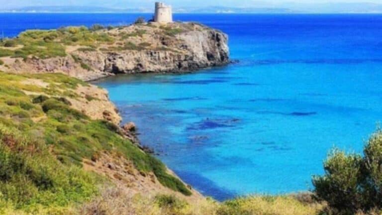 possono avere anche un impatto sociale ed economico perché un aumento di queste meduse nelle acque balneabili può avere impatti importanti anche sul turismo