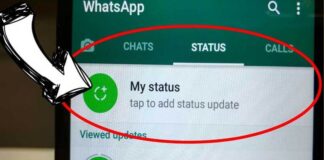 whatsapp-potrebbe-permetterti-impostare-messaggio-vocale-stato