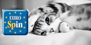 eurospin
