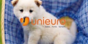 unieuro