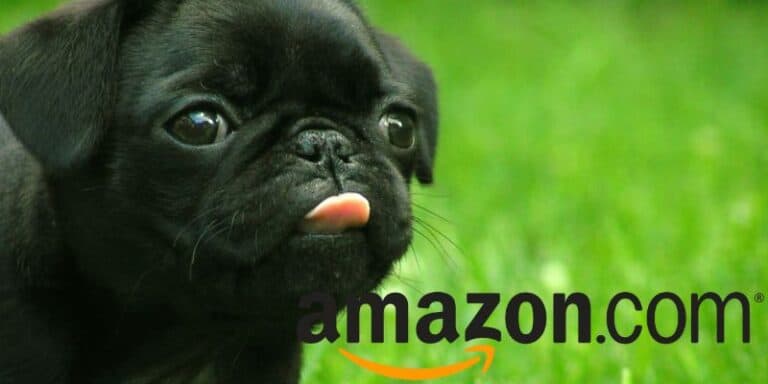 amazon