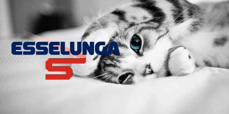 esselunga