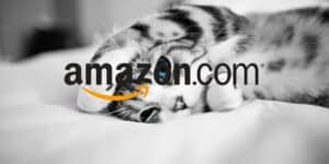 amazon