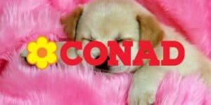 conad