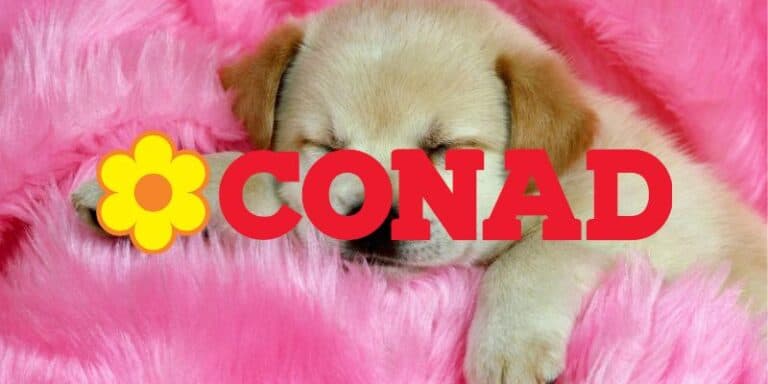conad