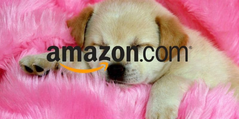 Amazon: solo oggi offerte Prime all’80% contro Unieuro