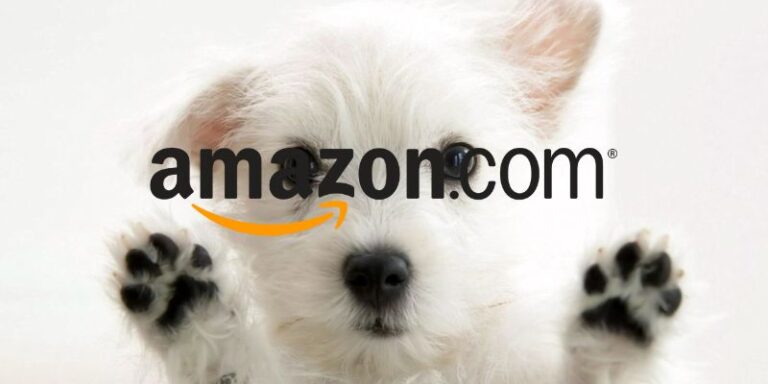 amazon
