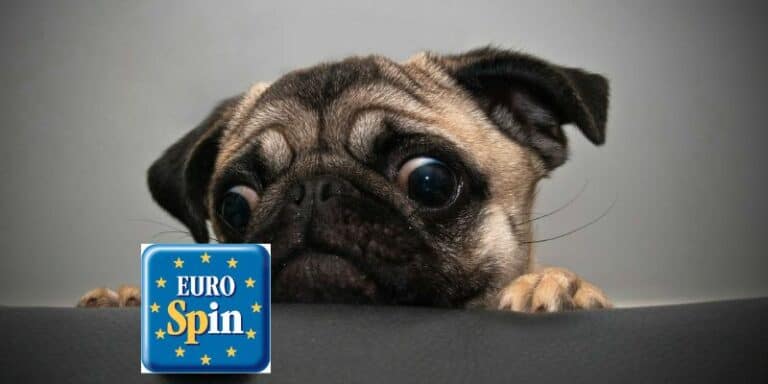 eurospin