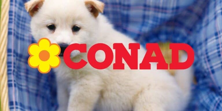 conad