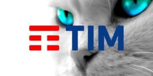 tim