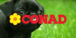 conad