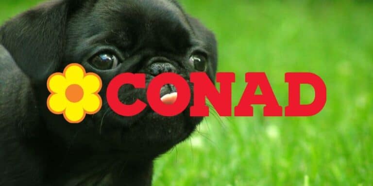 conad
