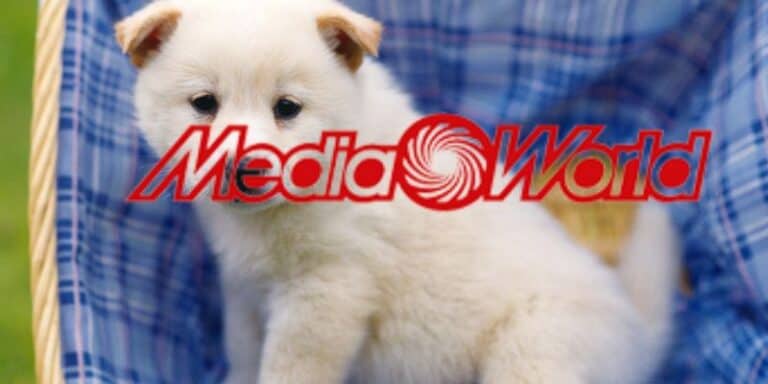 mediaworld