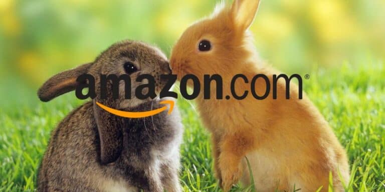 amazon