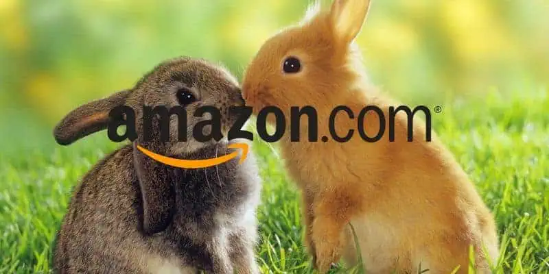 amazon