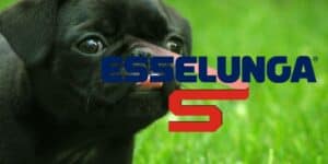 esselunga
