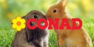 conad