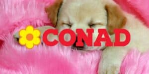 conad