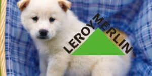 leroy merlin