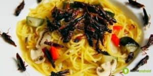Vermi nella pasta: attenzione, fenomeno sempre più frequente