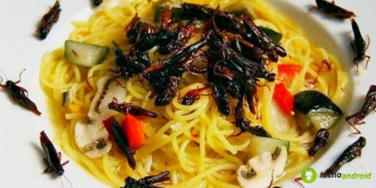 Vermi nella pasta: attenzione, fenomeno sempre più frequente
