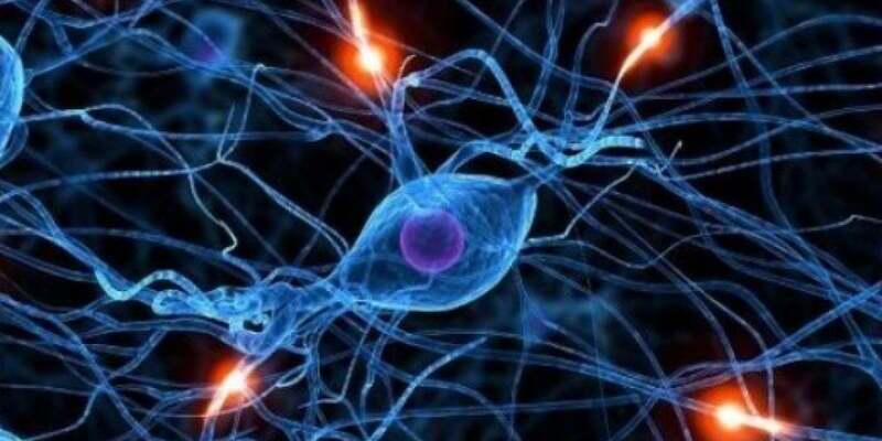 neuroni artificiali