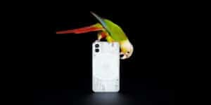 nothing-phone-1-fornire-1200-nits-luminosita-dichiarati-ecco-perche.jpg