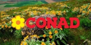 conad