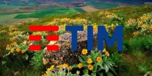 tim